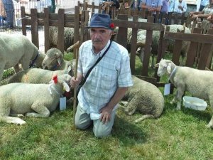 Balıkesir’de Bahar Şenliği’nde Kuzu Ve Oğlaklar Yarıştı