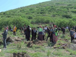 Tekden Koleji Öğrencileri 280 Fidanı Toprakla Buluşturdu