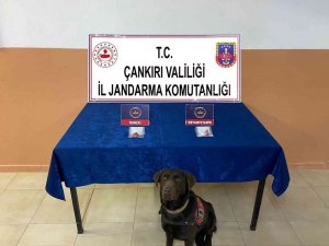 Çankırı Merkezli 3 İlde Uyuşturucu Operasyonu: 5 Gözaltı