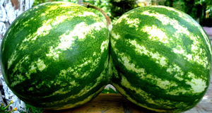 Karpuz kalp krizi riskini azaltıyor