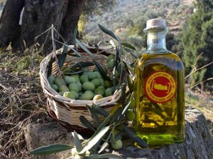 Aydın Ticaret Borsası Olivtech’te Yer Alacak