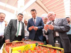 Kaş Tarım Sergisi Açıldı