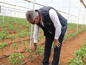 Eyyübiye Seraları Açılışa Gün Sayıyor