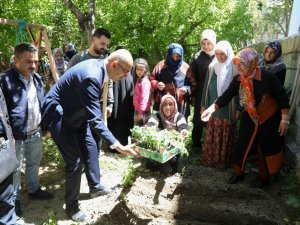 İ̇pekyolu Belediyesinden Sebze Fidesi Dağıtımı