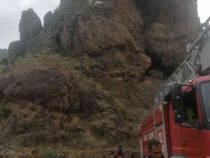 Kayalıklarda Mahsur Kalan Keçiler İtfaiye Ekipleri Tarafından Kurtardı