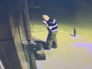 Tadına Baktığı Çileği Beğenince Kasasıyla Birlikte Çaldı: O Anlar Kamerada