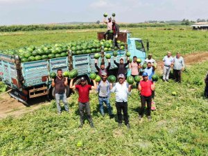 Turfanda Karpuzun Fiyatı Değişmedi