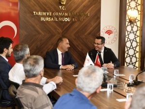 Bursa Tarımında Aslan Payı Mustafakemalpaşalı Çiftçilerin