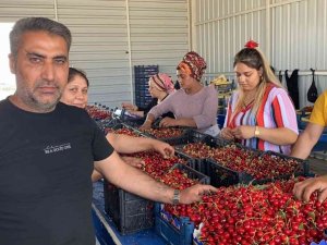 Sancaklıbozköy Kiraz Pazarı Yüz Güldürüyor