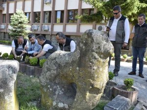 Şimşir Güvesi Zararlısıyla Mücadelede Biyolojik Çalışmalar Sürüyor