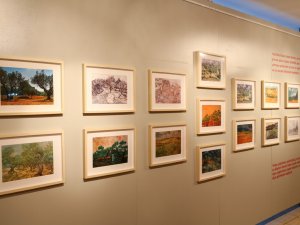 “Vıncent Van Gogh İ̇le Birlikte Zeytin Ağaçları Gölgesinde” Aksm’de