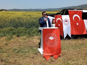 İ̇nönü’de Kanola Umut Veriyor