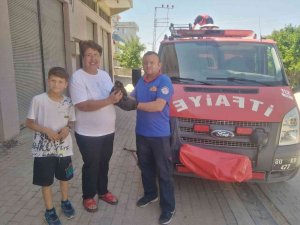 Havalandırma Boşluğunda Mahsur Kalan Kediyi İtfaiye Kurtardı