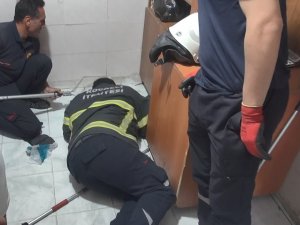 Kahvehaneye Giren Kirpiyi İtfaiye Ekipleri Çıkardı