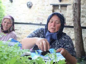 Kırklareli’nde Ata Tohumdan Üretilen Fideler Dağıtıldı