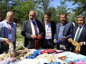 Diyarbakır’da İ̇pekböcekçiliği Çalıştayı