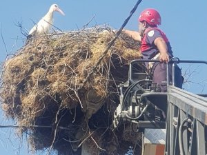 Yuvasından Düşen Yavru Leyleğin İmdadına İtfaiye Yetişti