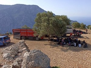 Muğla’da 237 Düzensiz Göçmen Yakalandı