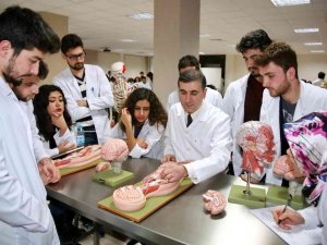 Gaün Ti̇ka İle Yurt Dışına Açılıyor