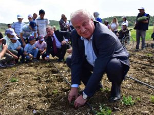 Sebze Yetiştiriciliği Kursu’nda Fide Ve Tohumlar Toprakla Buluştu