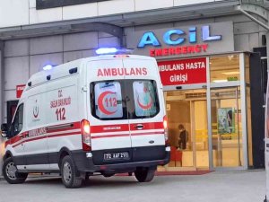 Tarlada Yılanın Isırdığı Kadın Tedavi Altına Alındı