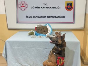 Narkotik Köpeği Uyuşturucu Tacirlerine Göz Açtırmıyor
