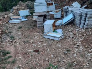 Elazığ’da Ayılar Arı Kovanlarını Parçaladı