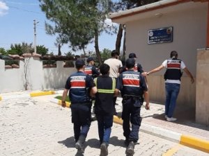 130 Bin Tl Değerindeki Kabloları Çaldılar, Kaçamadılar