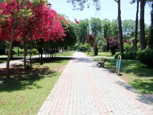 Adana’da Termometreler 43 Dereceyi Gösterdi