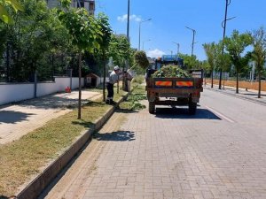 Yunusemre’de Ot Biçme Çalışmaları Devam Ediyor