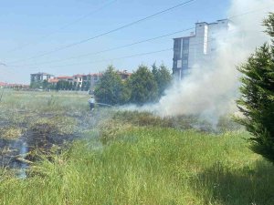 Kuru Otları Tutuşturunca Anız Yangını Çıktı