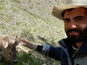 Mantar Toplamak İçin Gittiği Arazide Yaralı Karaca Yavrusu Buldu