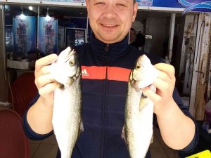 Olta Lüferi Balıkçıların Yüzünü Güldürüyor