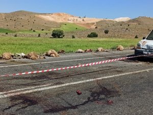 Elazığ’da Hafif Ticari Araç Sürüye Çarptı, 16 Koyun Telef Oldu