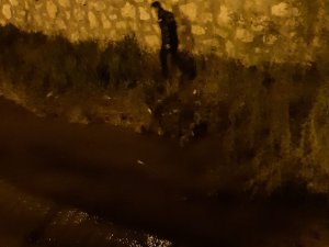 Van’da Kaçak Balık Avlayanlara Yönelik Denetimler Sürüyor