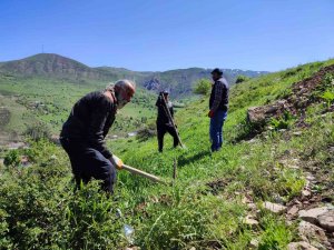 Tunceli’de Meyve Fidanları Toprakla Buluştu
