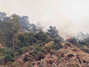 Fethiye’de Orman Yangını