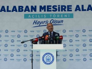 Ak Parti’li Efkan Ala: "Bir Ülkenin Cumhurbaşkanına ’Kaçacak’ Demek, O Ülkeye Suikast Düzenlemektir"