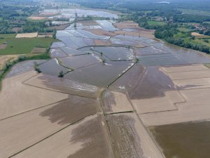 Sinop’ta Çeltik Ekimi Başladı