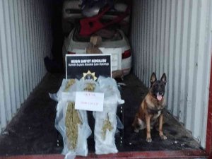 Mersin Limanı’nda 5 Kilo 800 Gram Skunk Ele Geçirildi