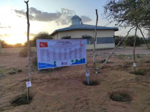 Lise Öğrencilerinden Kenya’ya Fidan Desteği