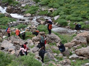 Şırnak’ta Ters Lale İçin Turlar Düzenleniyor