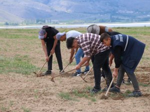 Okulda Öğrenci, Tarlada Çiftçi