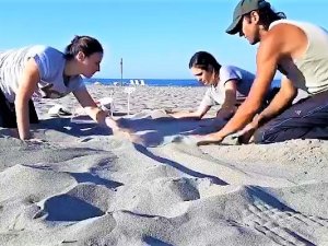 Kaplumbağalar Rahat Üresin Diye Dünyaca Ünlü Kumsallara Kısıtlama Getirildi