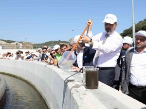 Bursa’da Deniz Suyu Kalitesi Artıyor