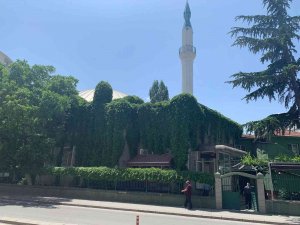 Bu Caminin Duvarları Sarmaşıktan Gözükmüyor