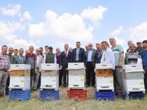 Emet’te Arıcılık Canlandırılıyor