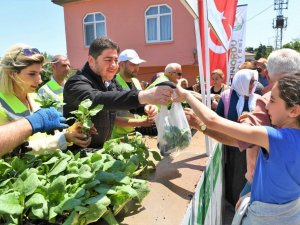 Ordu’da Üreticilere 200 Bin Adet Fide Desteği
