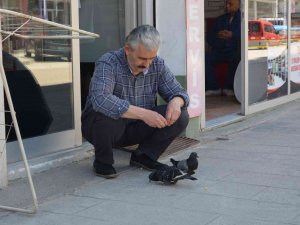 Ordu’da Berberin Güvercinlerle Dostluğu
