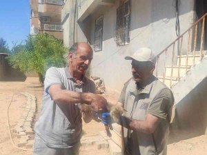 Selden Kurtardığı Yavru Tilkiyi Ekiplere Teslim Etti